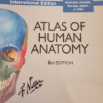 Atlas of Human Anatomy